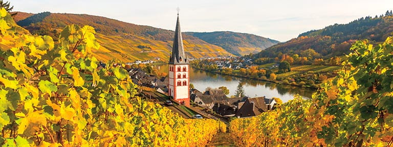 A view through autumnal vineyards towards the Rhine river in Germany